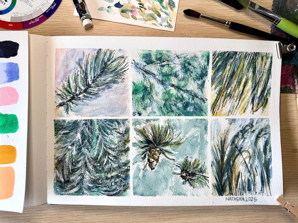 Le dessin final s'inspire des plantes à feuillage persistant. L'image présente six aquarelles aux teintes pastel, créant une atmosphère chaleureuse et accueillante.