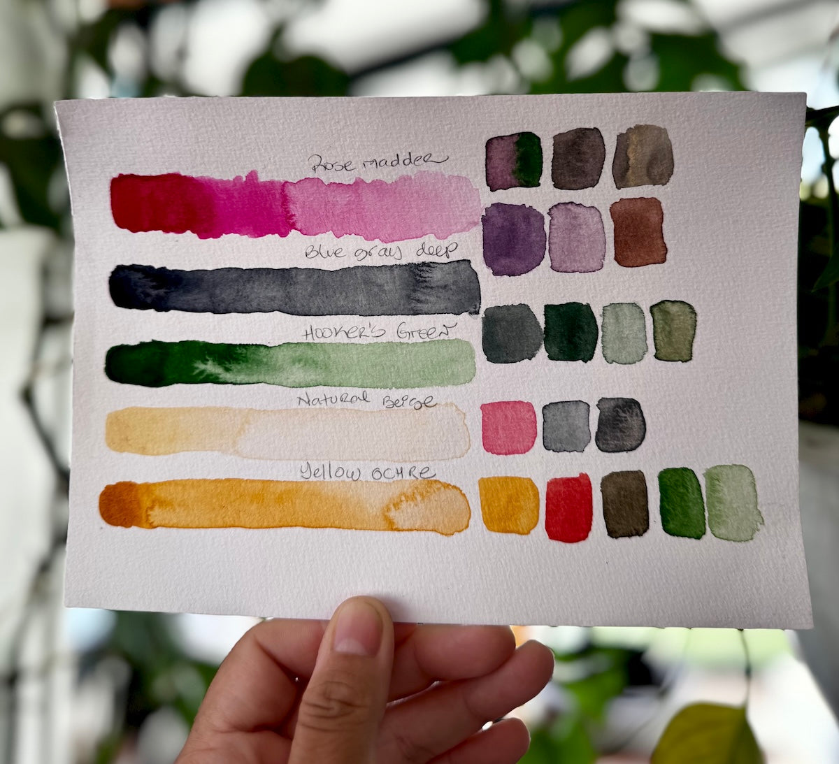 Aquarelle de plusieurs bandes de couleurs étiquetées : rose madder, blue gray deep, hooker’s green, natural beige, yellow ochre, accompagnées de dégradés et nuances associées.
